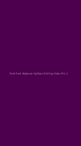 Tampilan Antarmuka Aplikasi Erek Erek Makanan Aplikasi Editing Video Pro - 2