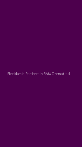 Tampilan Antarmuka Aplikasi Floridamid Pembersih Ram Otomatis - 4