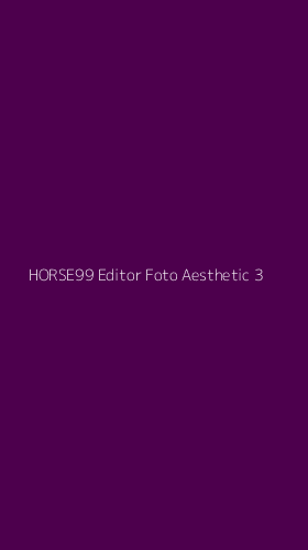 Tampilan Antarmuka Aplikasi Horse99 Editor Foto Aesthetic - 3