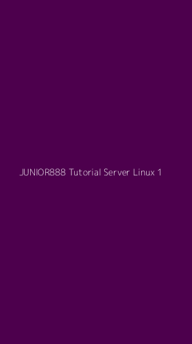 Tampilan Antarmuka Aplikasi Junior888 Tutorial Server Linux - 1