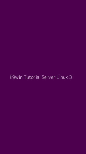 Tampilan Antarmuka Aplikasi K9win Tutorial Server Linux - 3