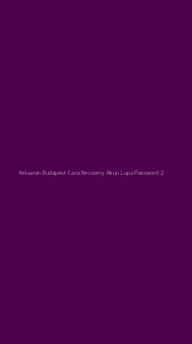 Tampilan Antarmuka Aplikasi Keluaran Budapest Cara Recovery Akun Lupa Password - 2