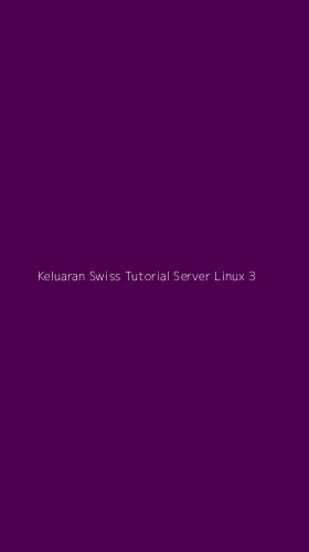 Tampilan Antarmuka Aplikasi Keluaran Swiss Tutorial Server Linux - 3