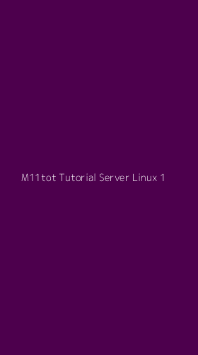 Tampilan Antarmuka Aplikasi M11tot Tutorial Server Linux - 1