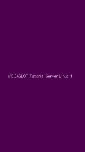 Tampilan Antarmuka Aplikasi Megaslot Tutorial Server Linux - 1