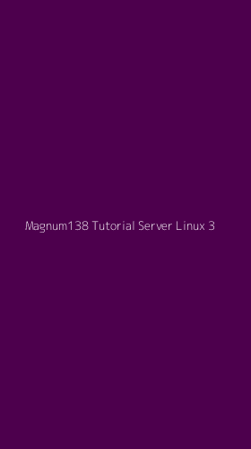 Tampilan Antarmuka Aplikasi Magnum138 Tutorial Server Linux - 3
