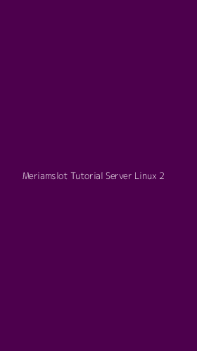 Tampilan Antarmuka Aplikasi Meriamslot Tutorial Server Linux - 2