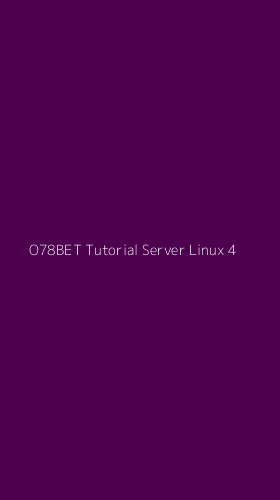 Tampilan Antarmuka Aplikasi O78bet Tutorial Server Linux - 4