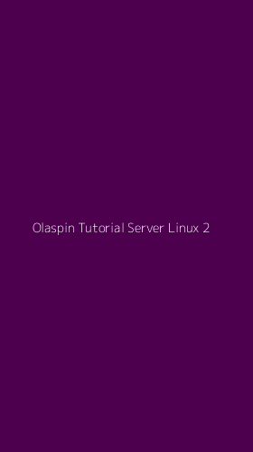 Tampilan Antarmuka Aplikasi Olaspin Tutorial Server Linux - 2