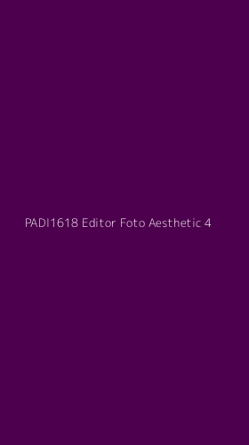 Tampilan Antarmuka Aplikasi Padi1618 Editor Foto Aesthetic - 4