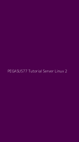 Tampilan Antarmuka Aplikasi Pegasus77 Tutorial Server Linux - 2