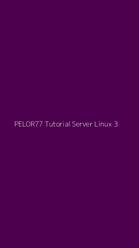 Tampilan Antarmuka Aplikasi Pelor77 Tutorial Server Linux - 3