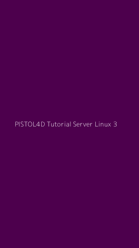 Tampilan Antarmuka Aplikasi Pistol4d Tutorial Server Linux - 3