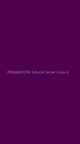 Tampilan Antarmuka Aplikasi Pragmatic99 Tutorial Server Linux - 4