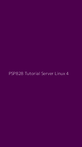 Tampilan Antarmuka Aplikasi Psp828 Tutorial Server Linux - 4