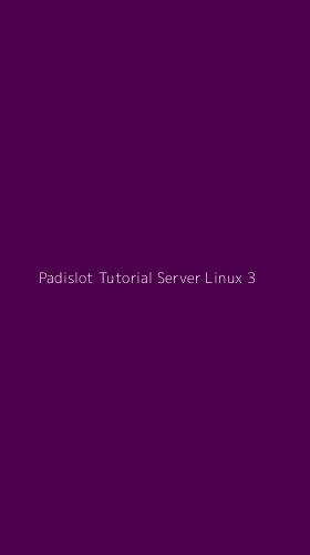 Tampilan Antarmuka Aplikasi Padislot Tutorial Server Linux - 3
