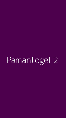 Tampilan Antarmuka Aplikasi Pamantogel - 2