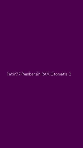 Tampilan Antarmuka Aplikasi Petir77 Pembersih Ram Otomatis - 2