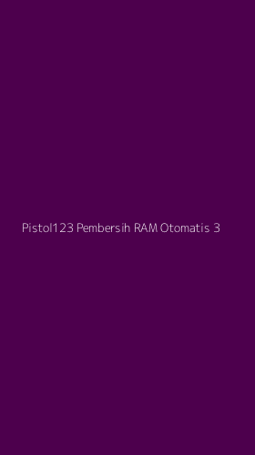 Tampilan Antarmuka Aplikasi Pistol123 Pembersih Ram Otomatis - 3