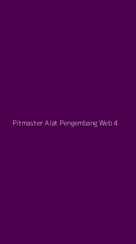 Tampilan Antarmuka Aplikasi Pitmaster Alat Pengembang Web - 4