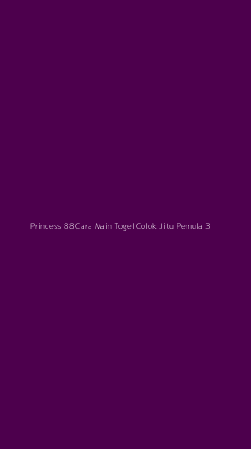 Tampilan Antarmuka Aplikasi Princess 88 Cara Main Togel Colok Jitu Pemula - 3