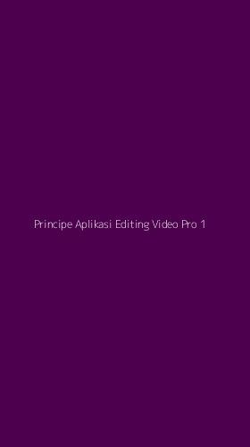 Tampilan Antarmuka Aplikasi Principe Aplikasi Editing Video Pro - 1