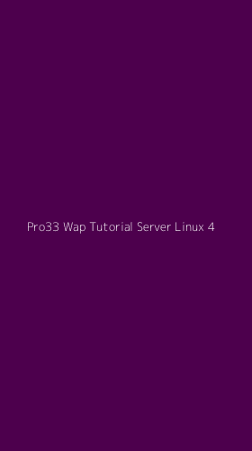 Tampilan Antarmuka Aplikasi Pro33 Wap Tutorial Server Linux - 4