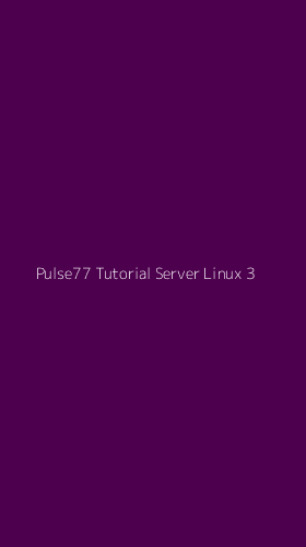 Tampilan Antarmuka Aplikasi Pulse77 Tutorial Server Linux - 3