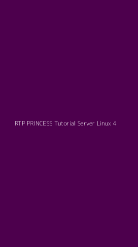 Tampilan Antarmuka Aplikasi Rtp Princess Tutorial Server Linux - 4