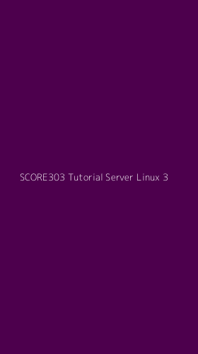Tampilan Antarmuka Aplikasi Score303 Tutorial Server Linux - 3