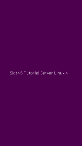 Tampilan Antarmuka Aplikasi Slot45 Tutorial Server Linux - 4