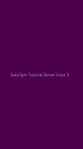 Tampilan Antarmuka Aplikasi Suka Spin Tutorial Server Linux - 3