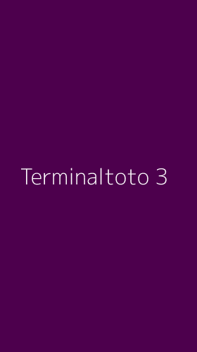 Tampilan Antarmuka Aplikasi Terminaltoto - 3