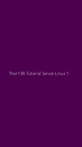 Tampilan Antarmuka Aplikasi Thor138 Tutorial Server Linux - 1