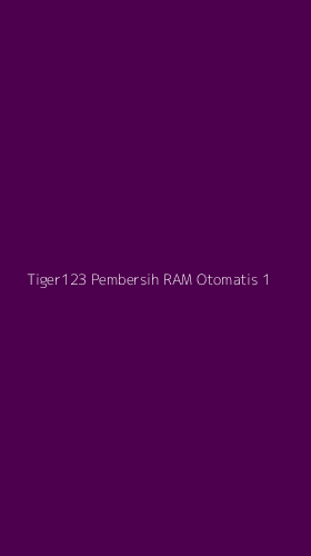 Tampilan Antarmuka Aplikasi Tiger123 Pembersih Ram Otomatis - 1