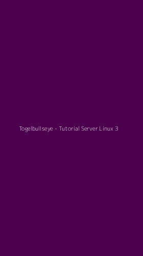 Tampilan Antarmuka Aplikasi Togelbullseye - Tutorial Server Linux - 3