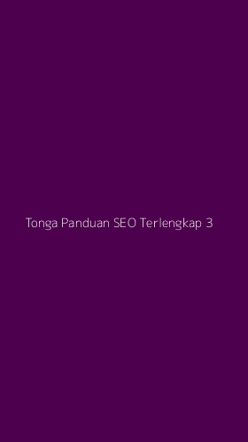 Tampilan Antarmuka Aplikasi Tonga Panduan Seo Terlengkap - 3