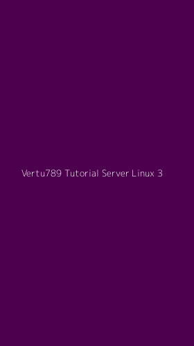 Tampilan Antarmuka Aplikasi Vertu789 Tutorial Server Linux - 3