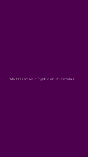 Tampilan Antarmuka Aplikasi Win313 Cara Main Togel Colok Jitu Pemula - 4