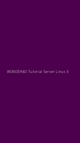 Tampilan Antarmuka Aplikasi Wonder4d Tutorial Server Linux - 3