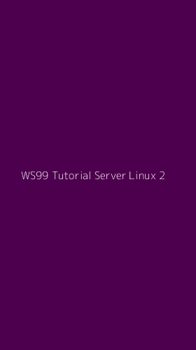 Tampilan Antarmuka Aplikasi Ws99 Tutorial Server Linux - 2