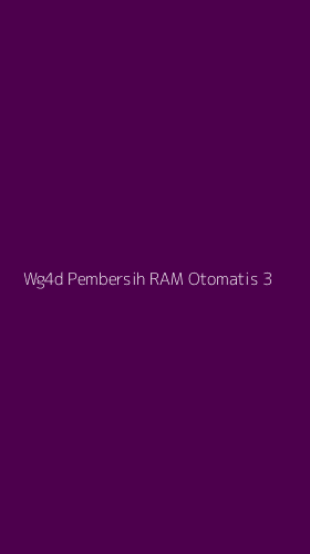 Tampilan Antarmuka Aplikasi Wg4d Pembersih Ram Otomatis - 3