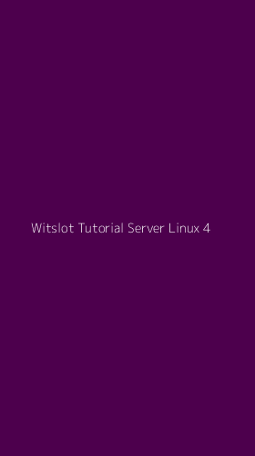 Tampilan Antarmuka Aplikasi Witslot Tutorial Server Linux - 4
