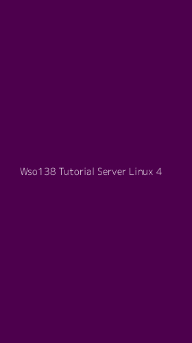 Tampilan Antarmuka Aplikasi Wso138 Tutorial Server Linux - 4