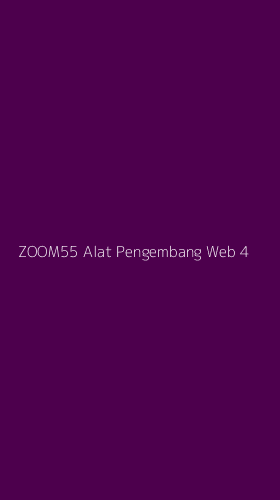 Tampilan Antarmuka Aplikasi Zoom55 Alat Pengembang Web - 4