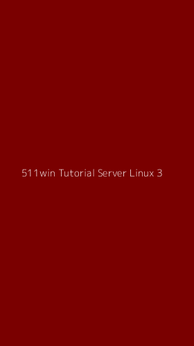 Tampilan Antarmuka Aplikasi 511win Tutorial Server Linux - 3