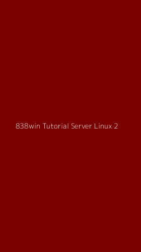 Tampilan Antarmuka Aplikasi 838win Tutorial Server Linux - 2