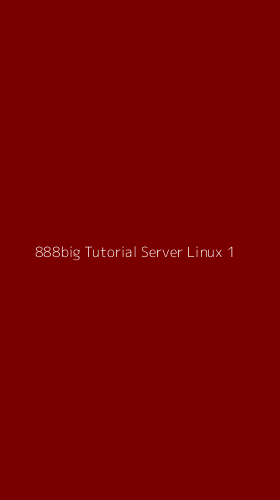 Tampilan Antarmuka Aplikasi 888big Tutorial Server Linux - 1