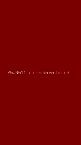 Tampilan Antarmuka Aplikasi Agung11 Tutorial Server Linux - 3