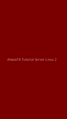 Tampilan Antarmuka Aplikasi Amara16 Tutorial Server Linux - 2
